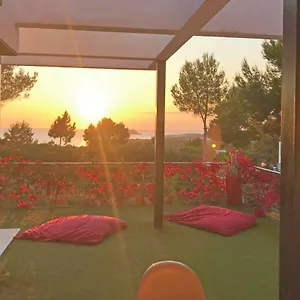 book here